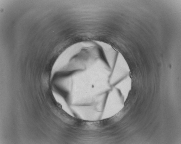 X0000077310188200611171727