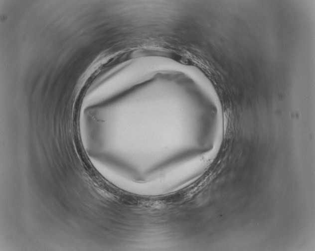 X0000077310195200611171726