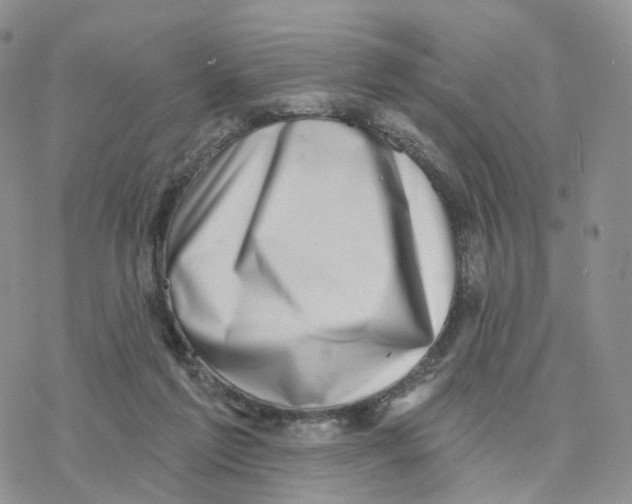 X0000077310213200611171725