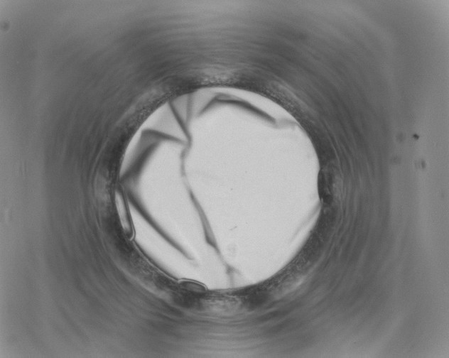 X0000077310215200611171725
