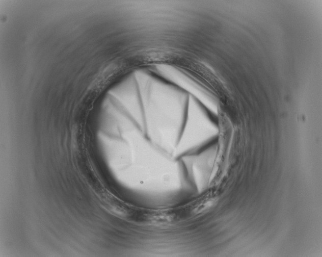 X0000077310217200611171725