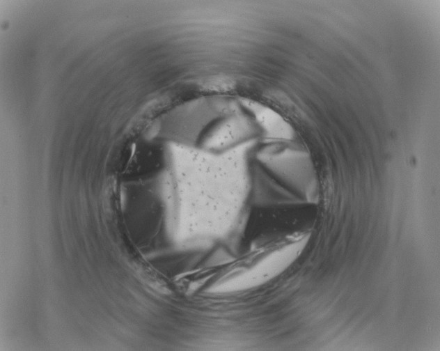 X0000077310229200611171725