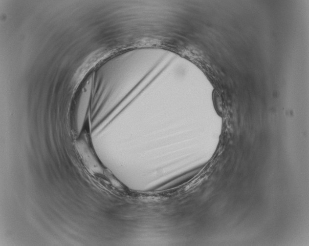 X0000077310242200611171724