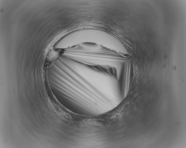 X0000077310244200611171724