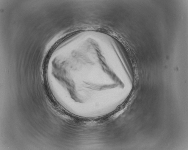 X0000077310246200611171724