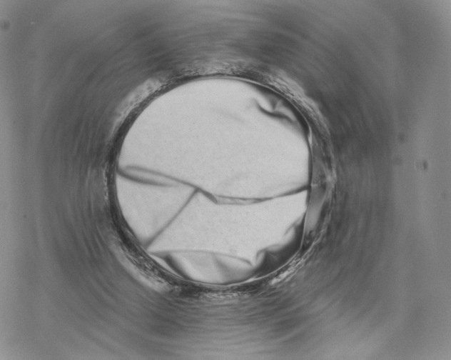 X0000077310250200611171724