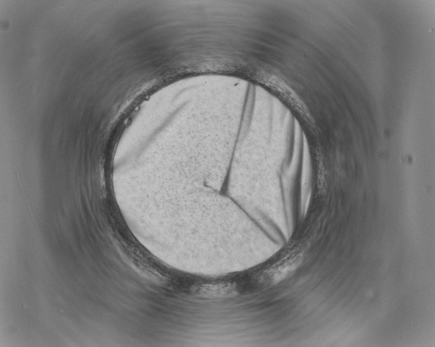 X0000077310251200611171724