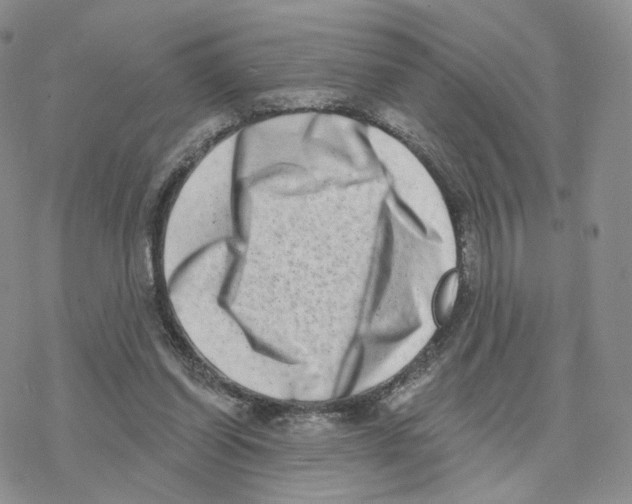 X0000077310254200611171724