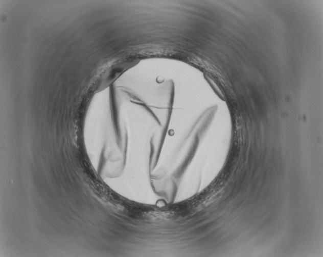 X0000077310255200611171724