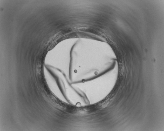 X0000077310263200611171725