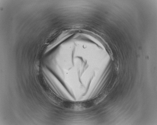 X0000077310264200611171725