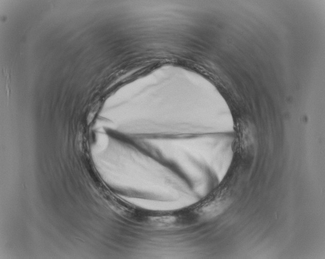 X0000077310266200611171725