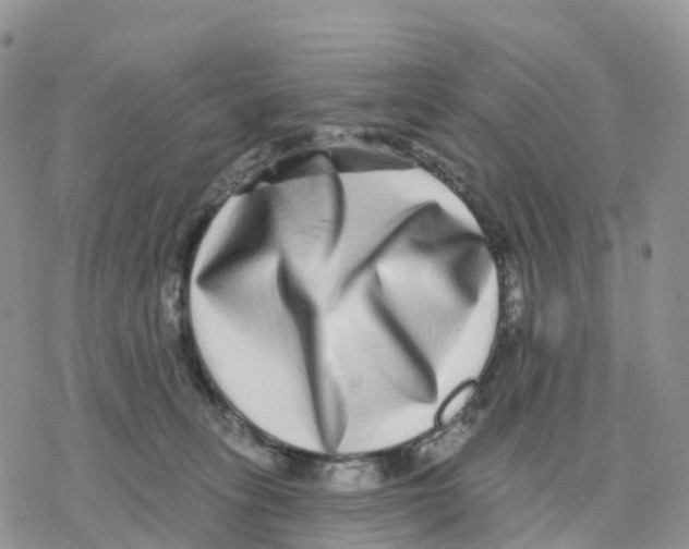 X0000077310275200611171725