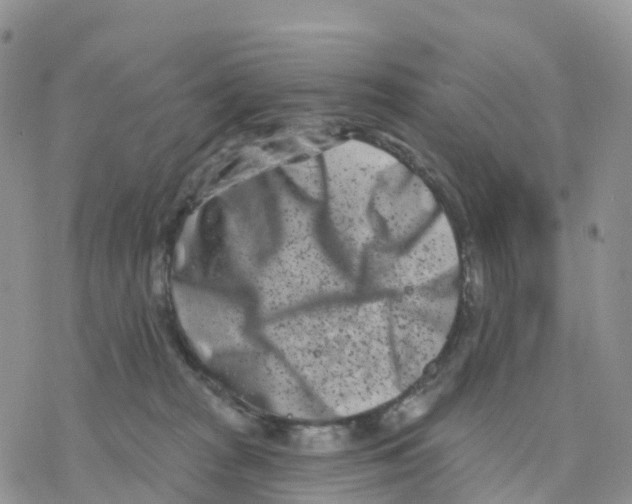 X0000077310277200611171725