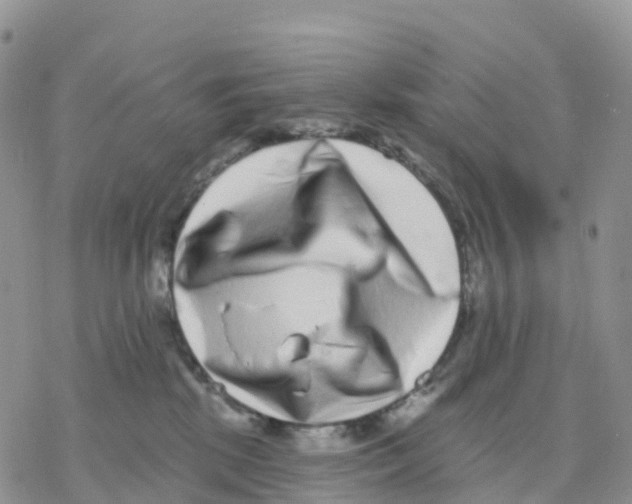 X0000077310281200611171725