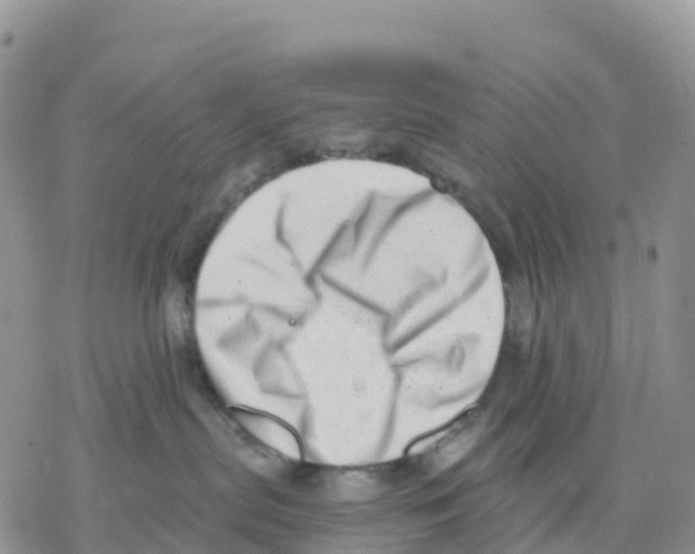 X0000077310287200611171725