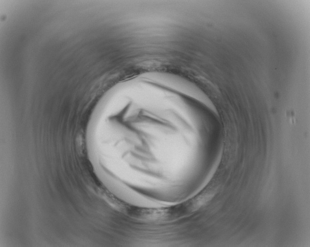 X0000077310288200611171725