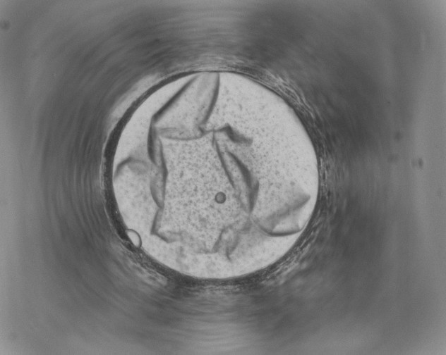 X0000077310292200611171724