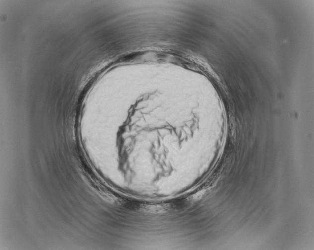X0000077310299200611171724