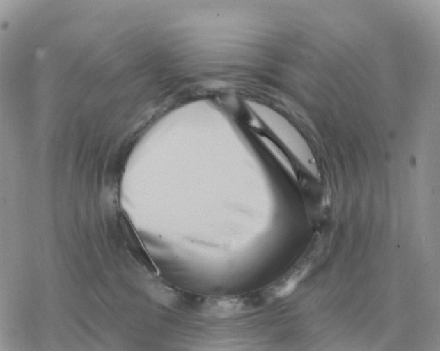 X0000077310329200611171724