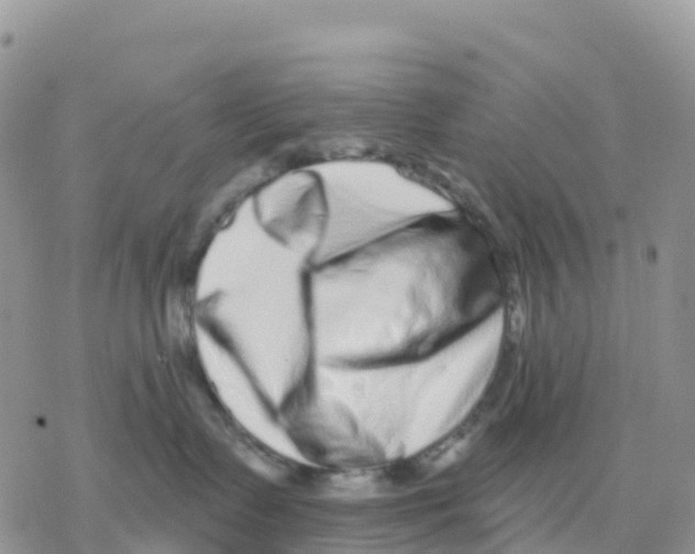 X0000077310335200611171723
