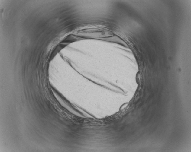 X0000077310337200611171723