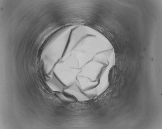 X0000077310338200611171723