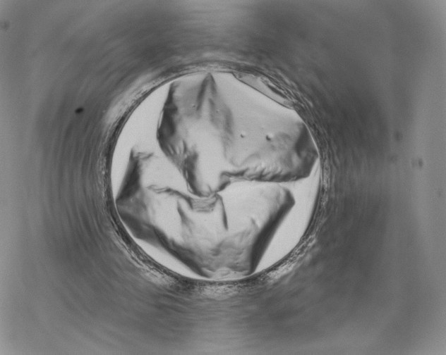 X0000077310341200611171723