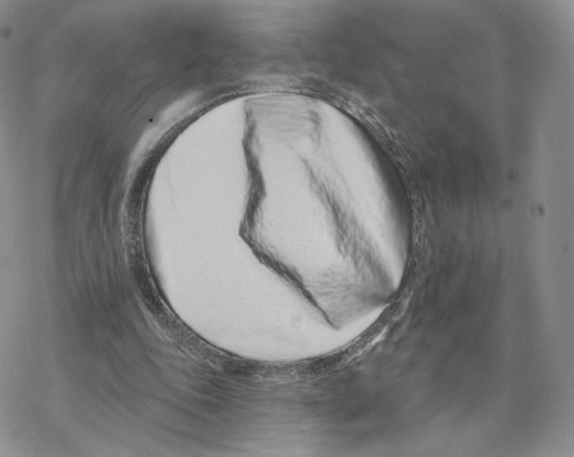 X0000077310343200611171723