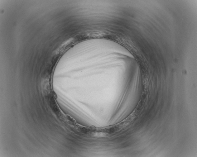 X0000077310360200611171723