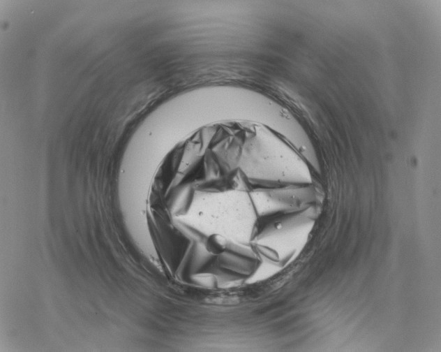 X0000077310362200611171723