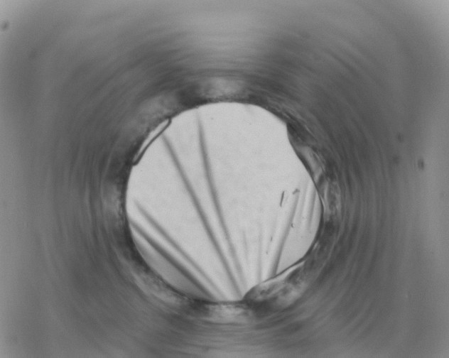 X0000077310380200611171723