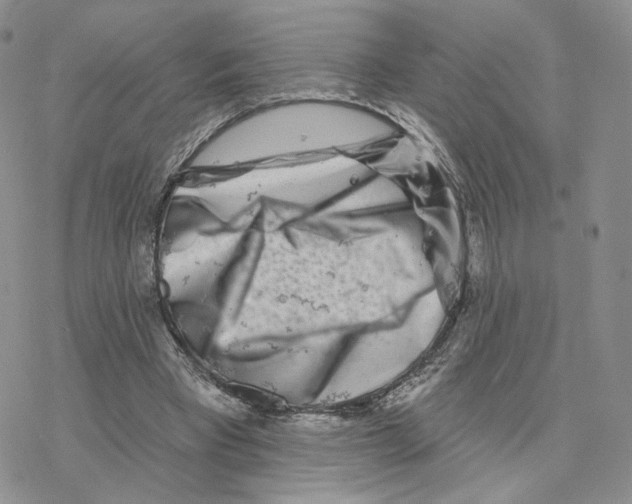 X0000077310393200611171723