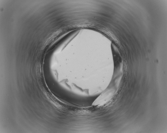 X0000077310397200611171722