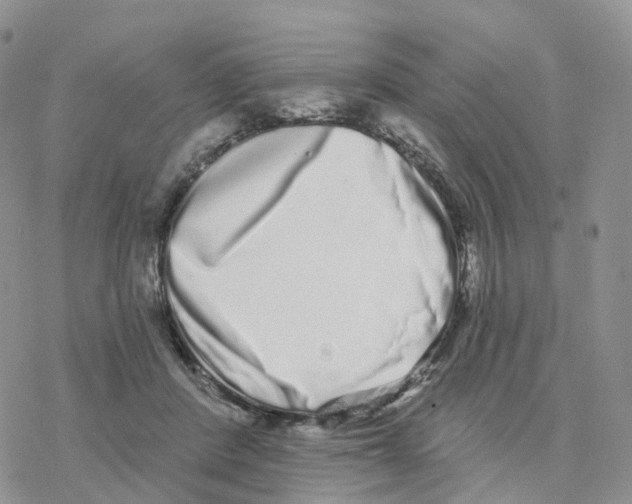 X0000077310408200611171722