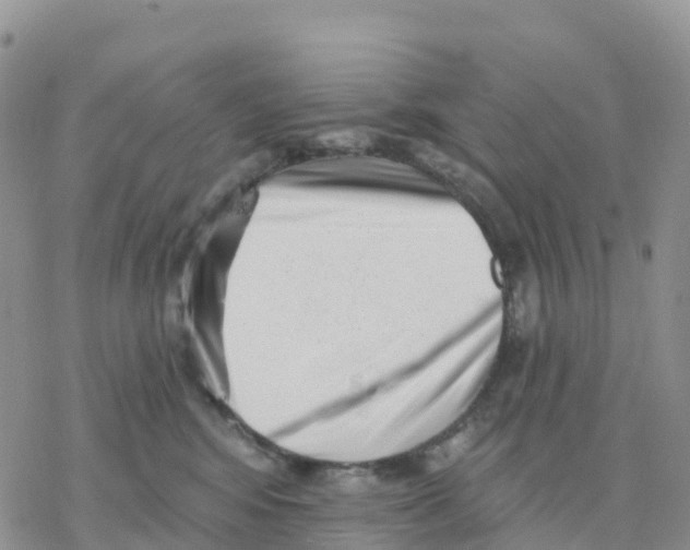 X0000077310424200611171722