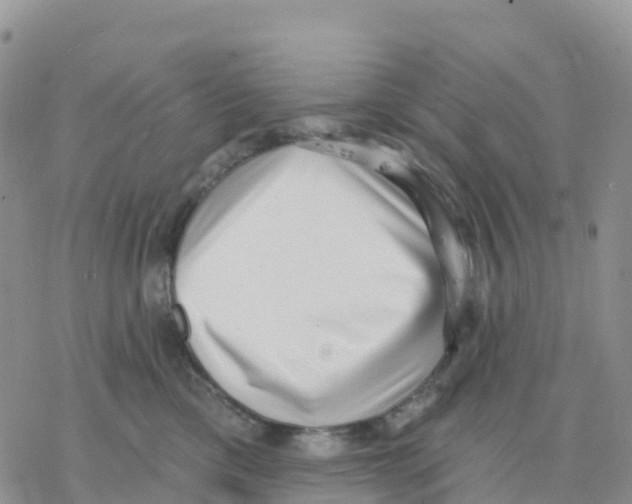 X0000077310425200611171722
