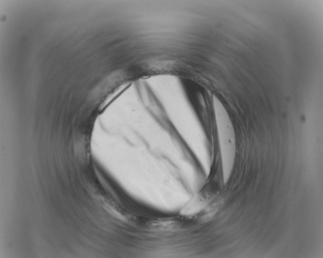 X0000077310428200611171722