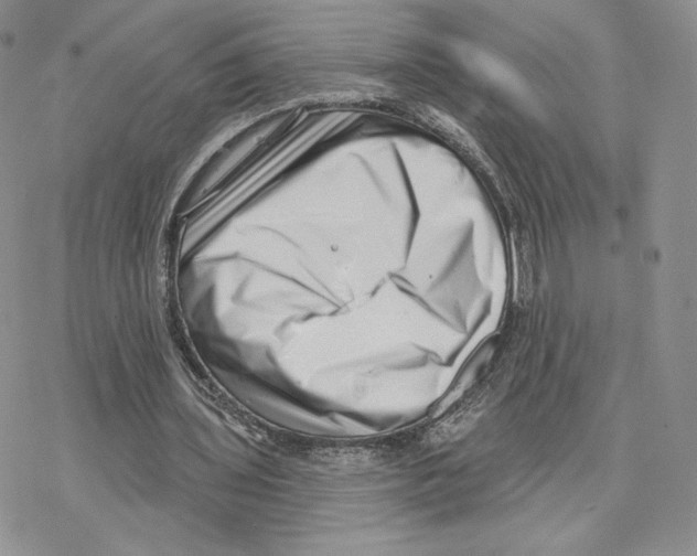 X0000077310435200611171721