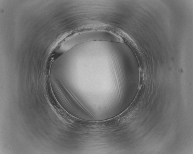 X0000077310436200611171721