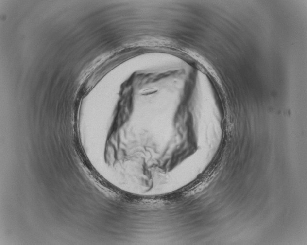 X0000077310437200611171721