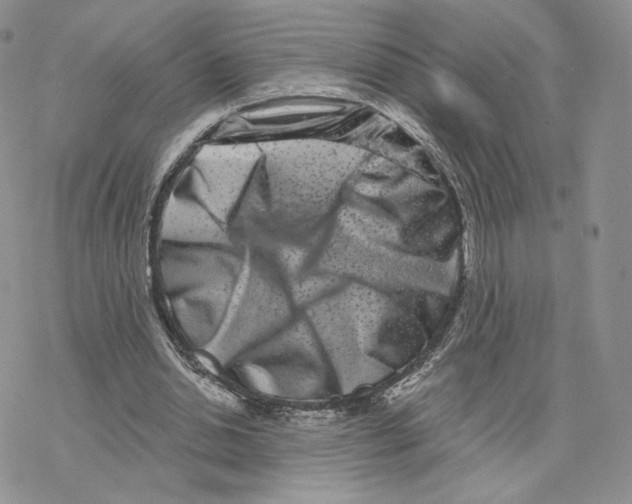 X0000077310438200611171721