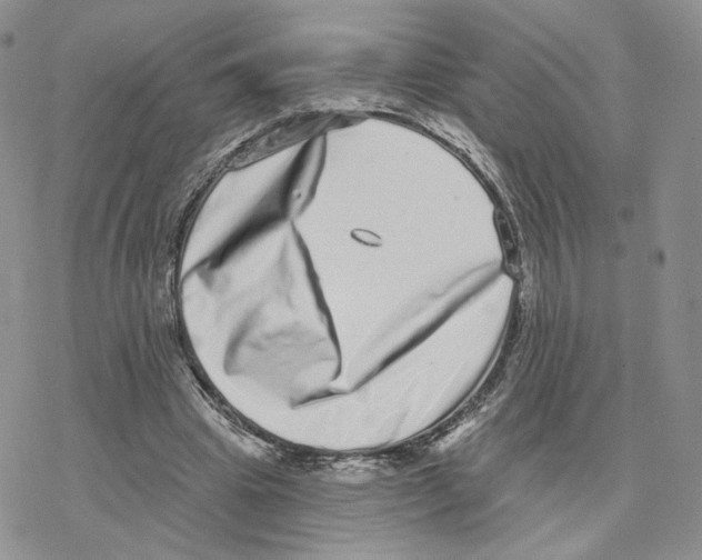 X0000077310441200611171721
