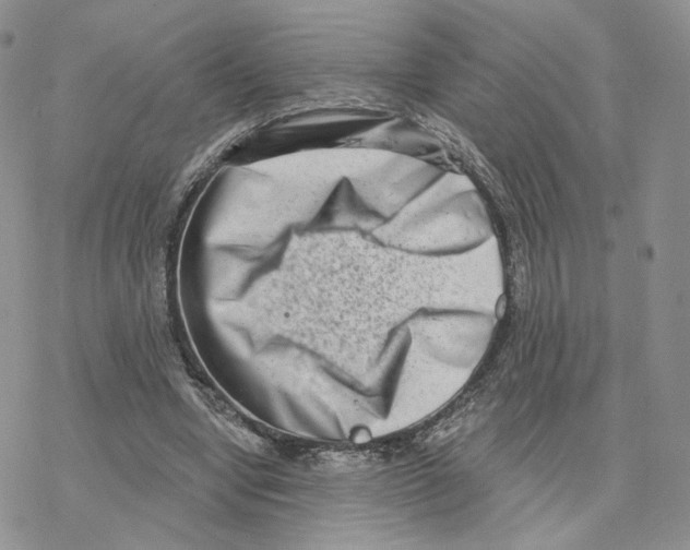 X0000077310442200611171721