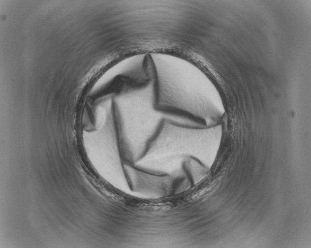 X0000077310443200611171721