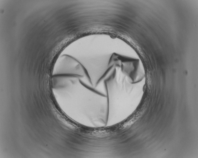 X0000077310445200611171721