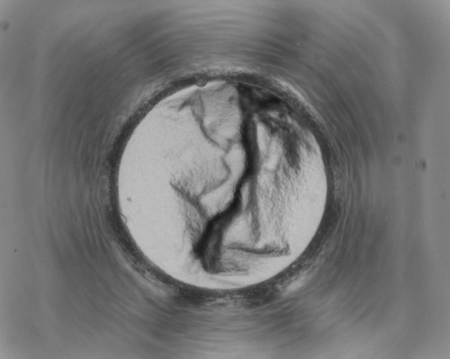 X0000077310447200611171721