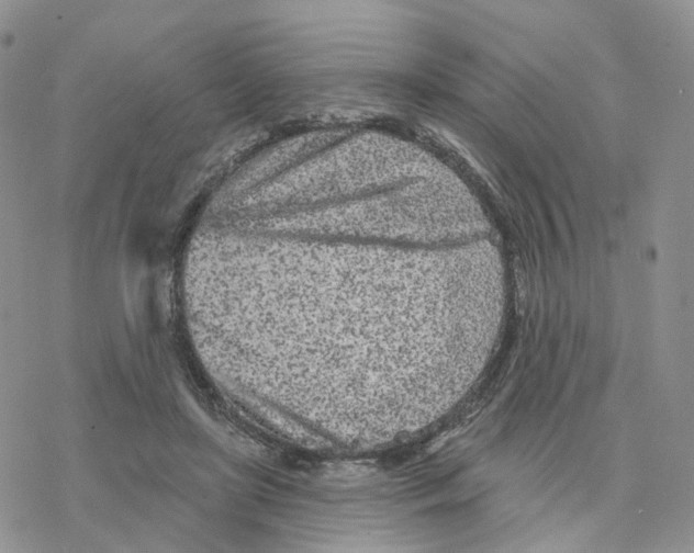 X0000077310451200611171721