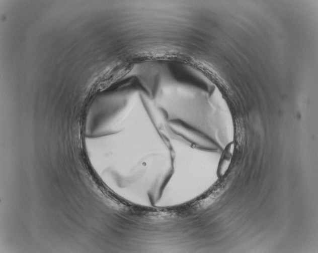 X0000077310453200611171721