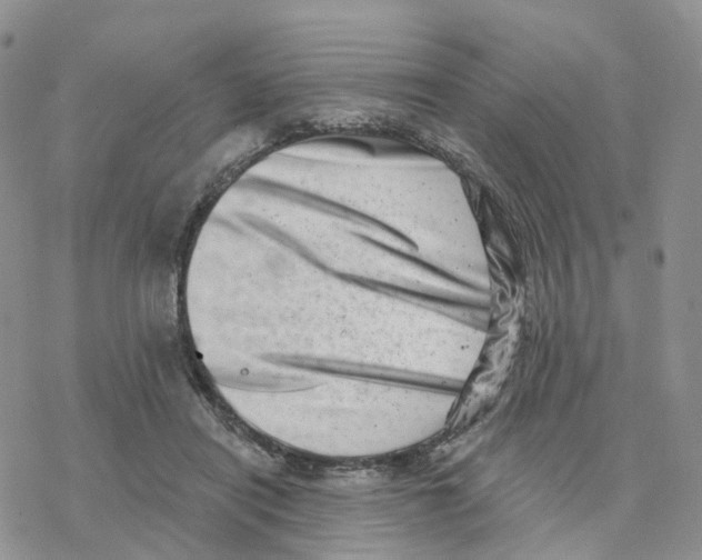 X0000077310454200611171721